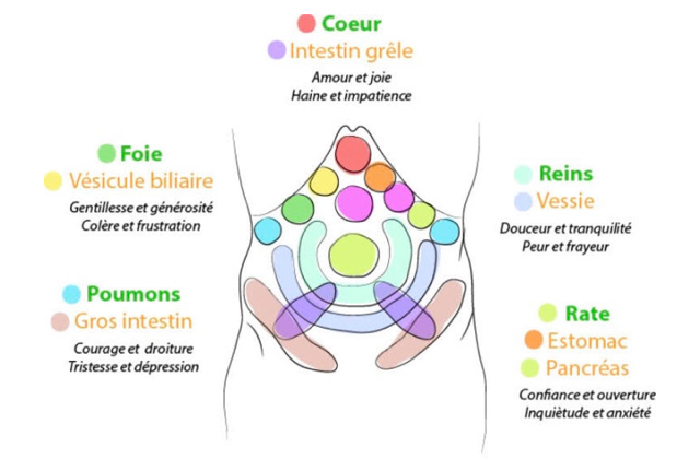 Point Médecine Chinoise
Thérapeute psychocorporelle et émotionnelle 